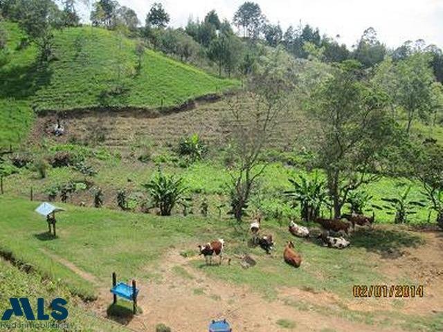 Terrain à Marinilla, Antioquia, Colombie 5 - 16208514