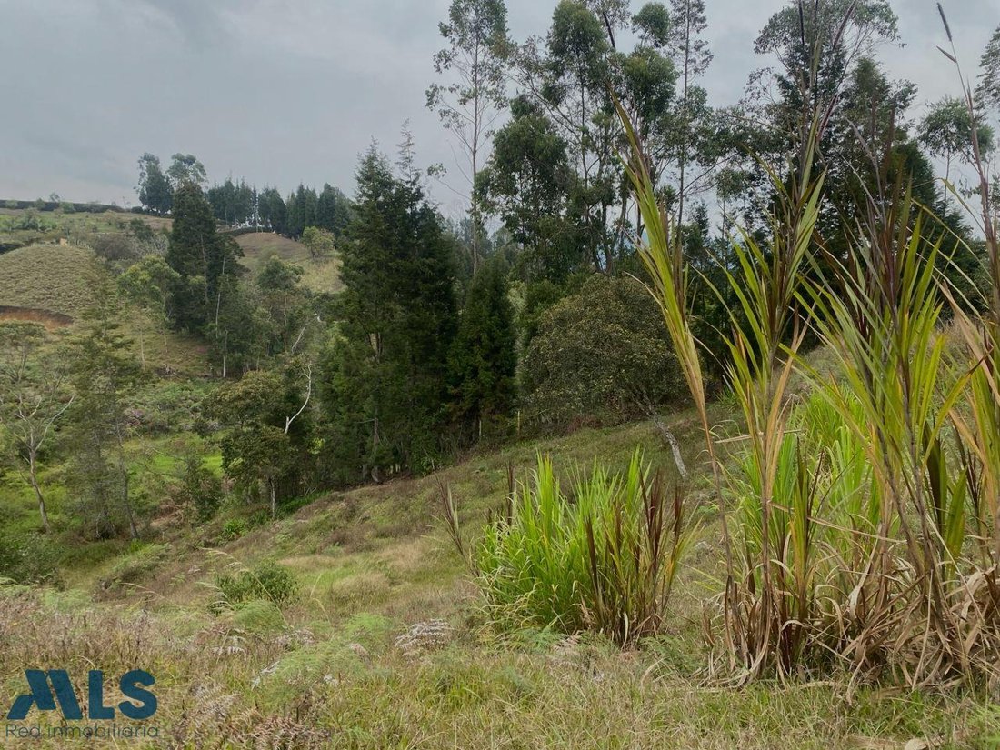 Land in Guarne, Guarne, Colombia 2 - 16208391