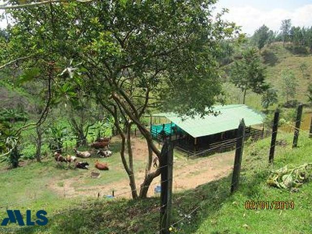 Terrain à Marinilla, Antioquia, Colombie 4 - 16208514