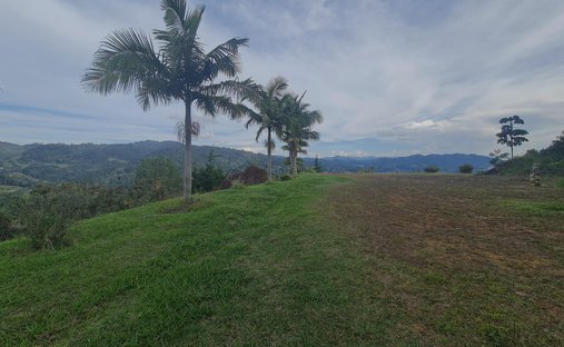Terreno en Los Salados, Antioquia, Colombia 1