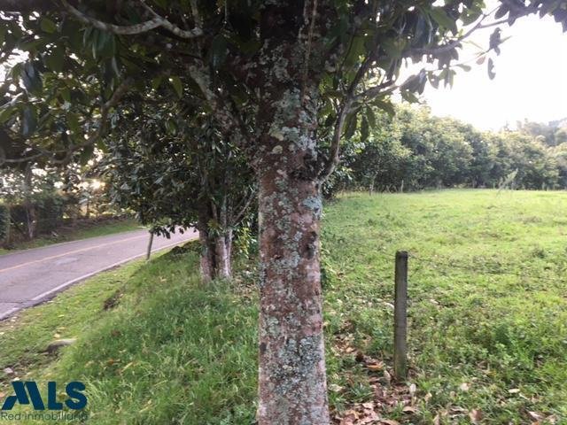 Land in Retiro, Antioquia, Colombia 2 - 16208227