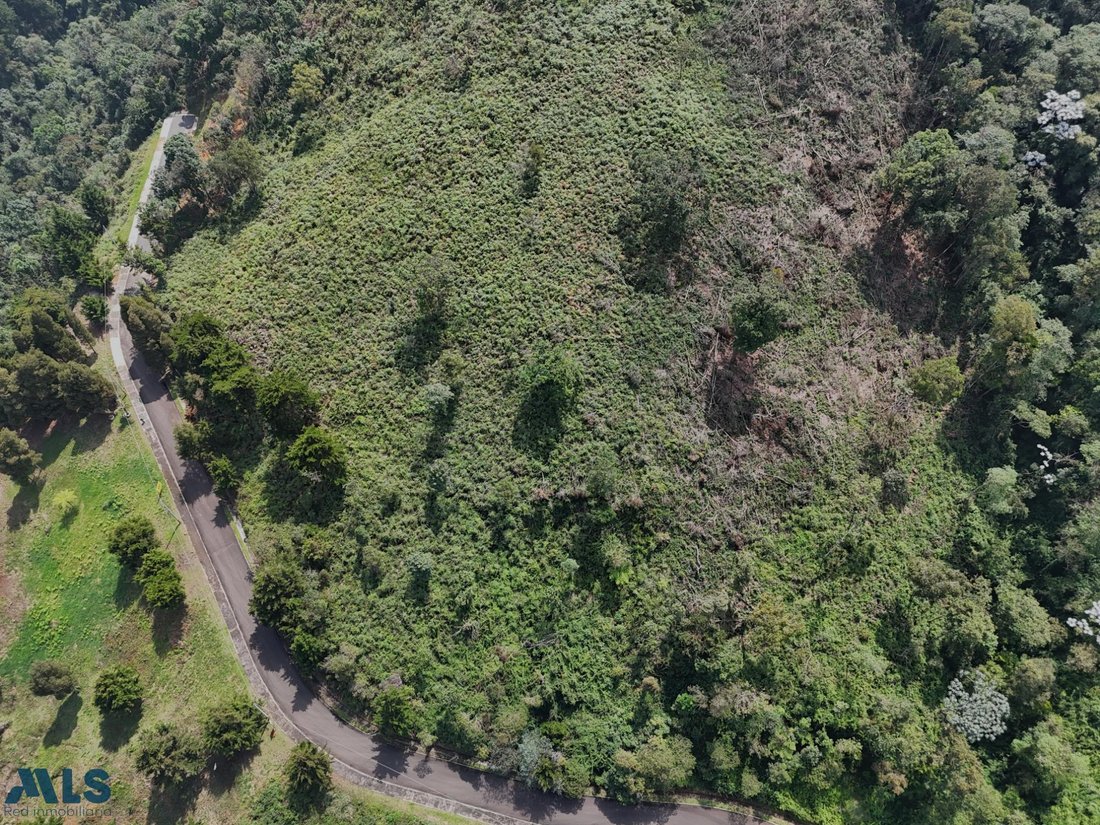 Land in Santa Elena, Antioquia, Colombia 5 - 16208543