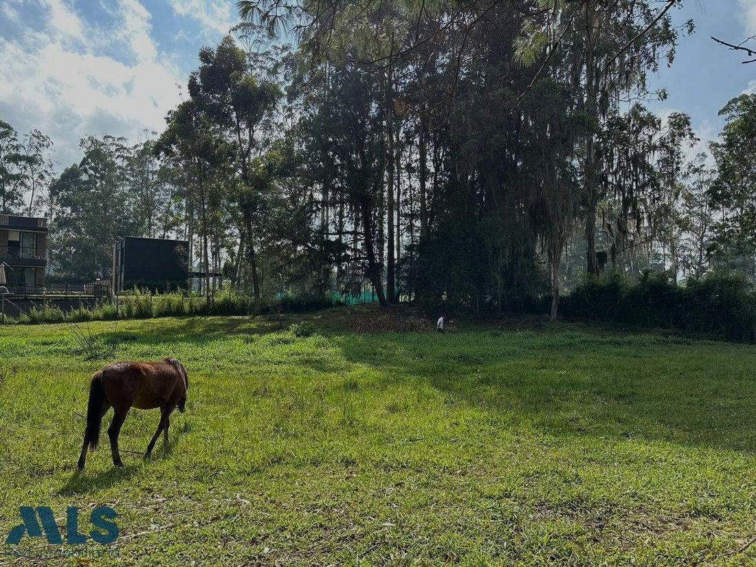 Land in Rionegro, Rionegro, Colombia 2 - 16208812