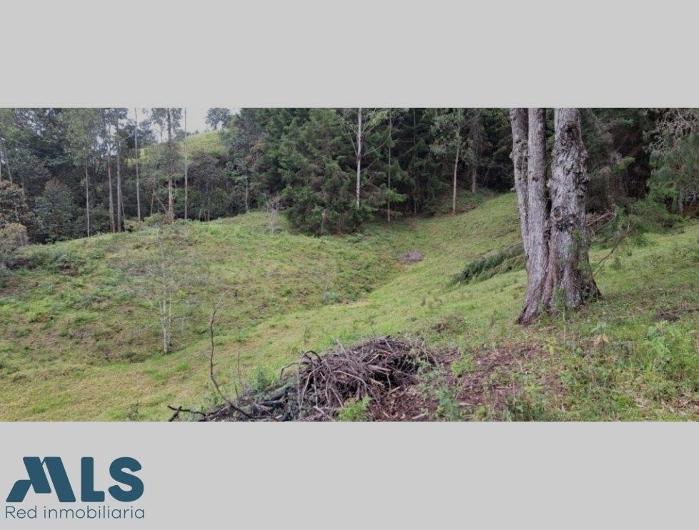 Land in La Ceja, La Ceja, Colombia 2 - 16208425