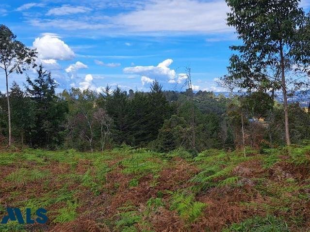 Land in El Cebadero, Antioquia, Colombia 4 - 16208859