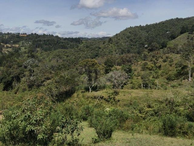 Land in Rionegro, Rionegro, Colombia 4 - 16208664