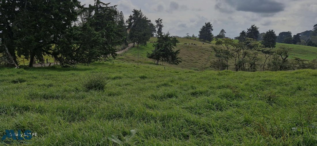 Land in Rionegro, Antioquia, Colombia 2 - 16208719