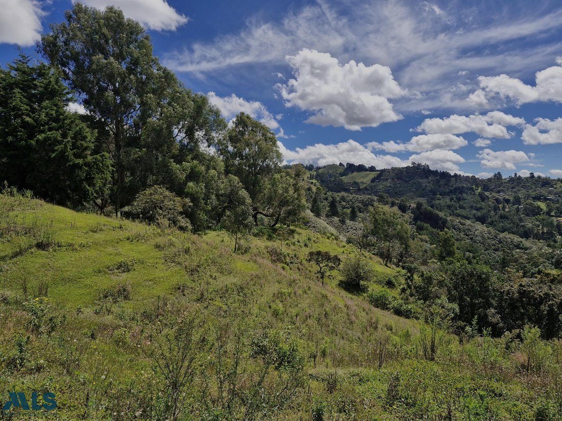Land in Rionegro, Rionegro, Colombia 2 - 16208863
