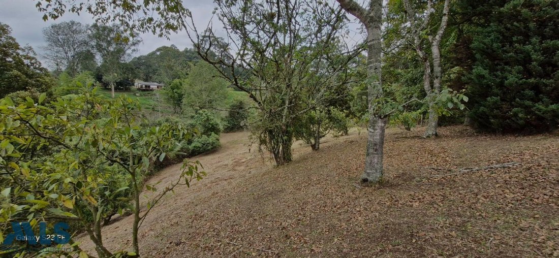 Land in Rionegro, Rionegro, Colombia 5 - 16208374