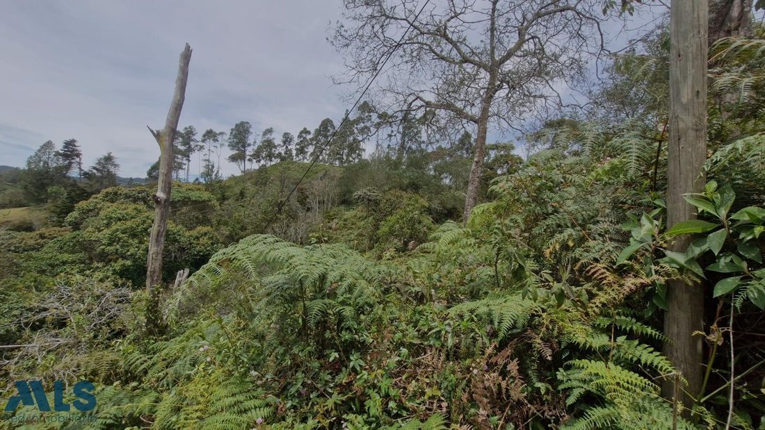 Land in Don Diego, Antioquia, Colombia 5 - 16208563