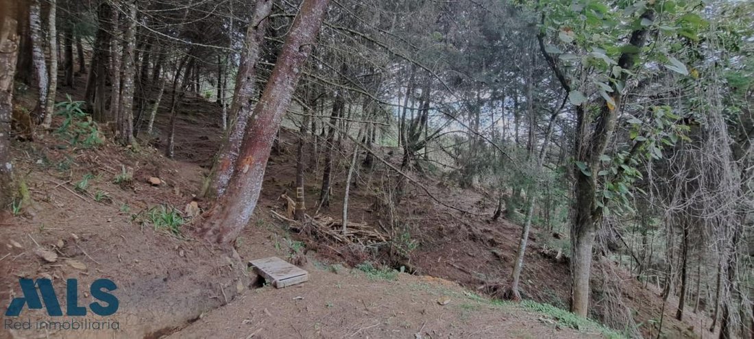 Land in Los Salados, Antioquia, Colombia 5 - 16208832
