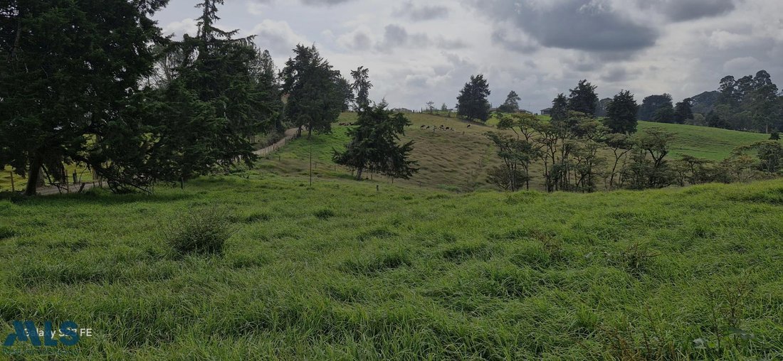 Land in Rionegro, Antioquia, Colombia 5 - 16208719