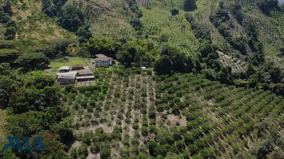 House in Tarso, Tarso, Colombia 3 - 16208256