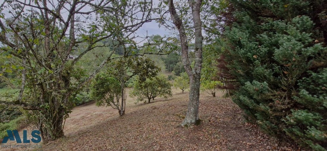 Land in Rionegro, Rionegro, Colombia 3 - 16208374