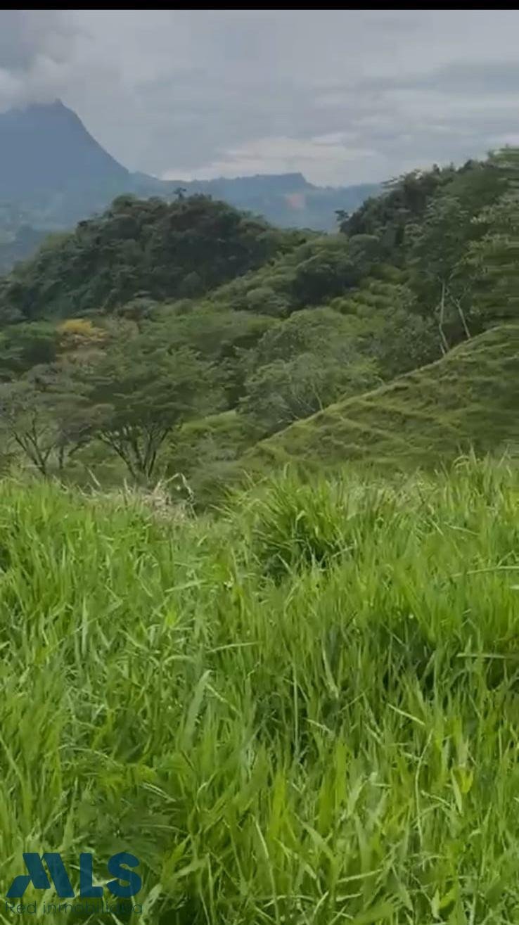 Land in Amagá, Amagá, Colombia 4 - 16208293