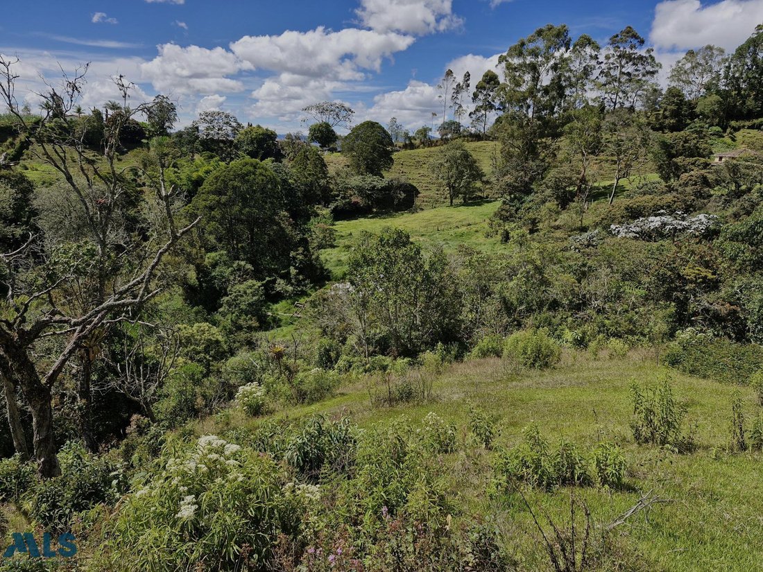 Land in Rionegro, Rionegro, Colombia 3 - 16208863