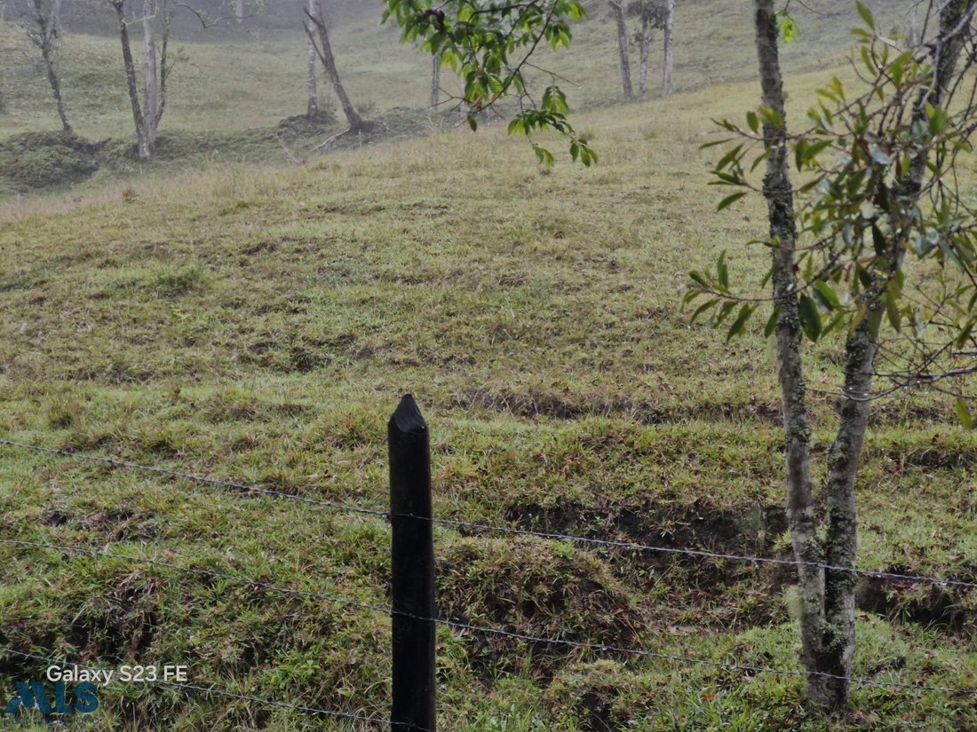 Land in Rionegro, Antioquia, Colombia 1 - 16208591