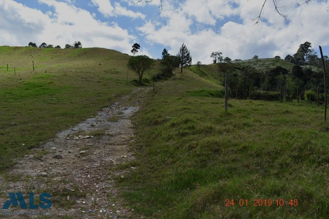 Land in El Retiro, Retiro, Colombia 4 - 16208609