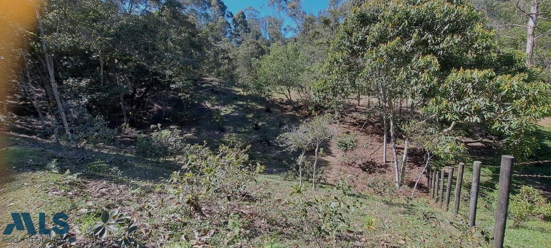 Land in Rionegro, Antioquia, Colombia 5 - 16208783