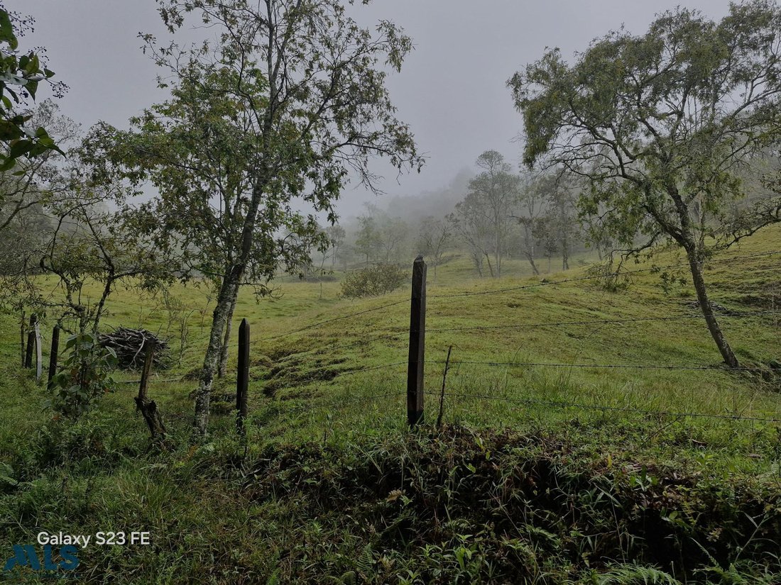 Land in Rionegro, Antioquia, Colombia 3 - 16208591
