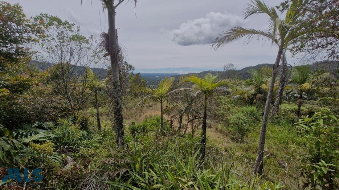 Land in Don Diego, Antioquia, Colombia 2 - 16208563