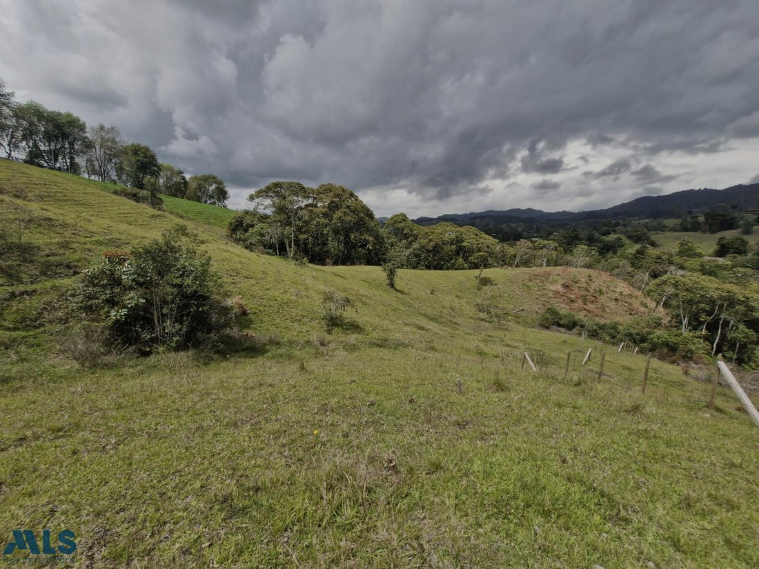 Terrain à Pozo Rubio, Antioquia, Colombie 5 - 16208579