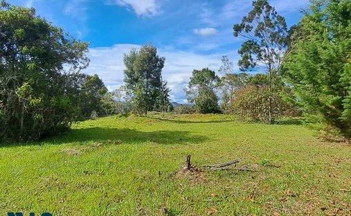 Terreno a El Cebadero, Dipartimento di Antioquia, Colombia 1