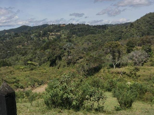 Land in Rionegro, Rionegro, Colombia 2 - 16208664