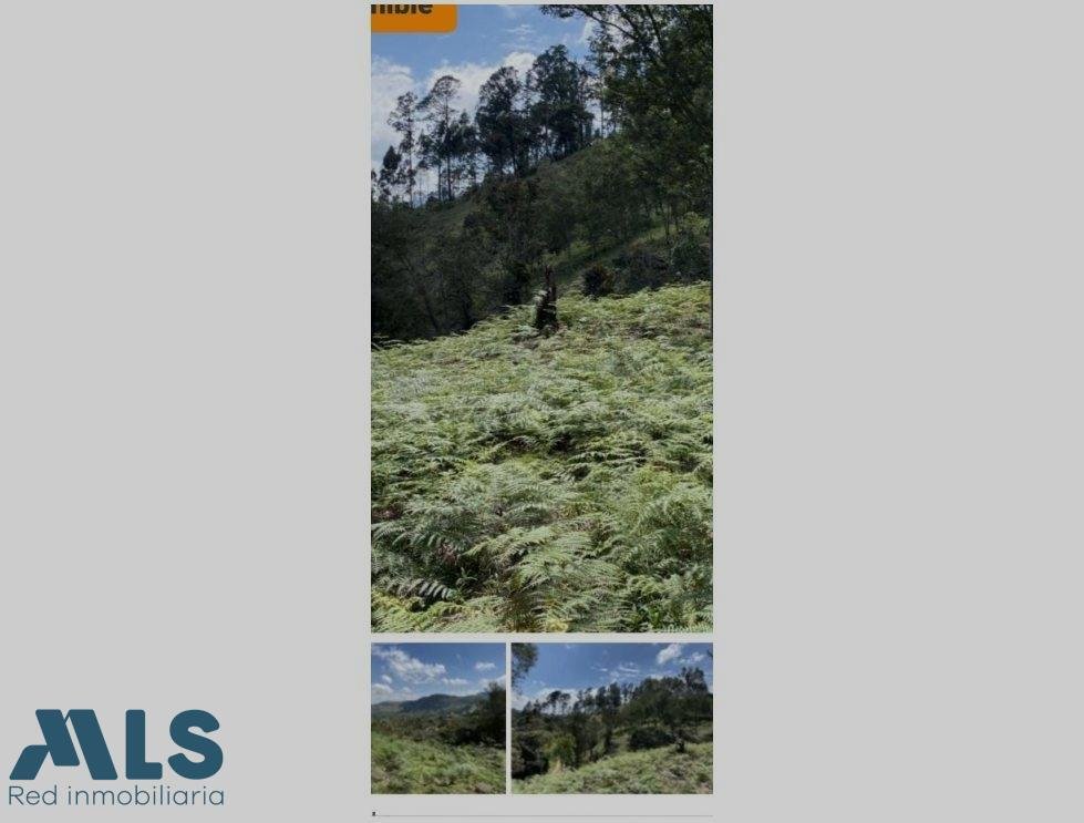 Land in El Retiro, Retiro, Colombia 5 - 16208574