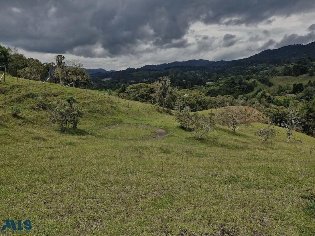 Terrain à Pozo Rubio, Antioquia, Colombie 1 - 16208579