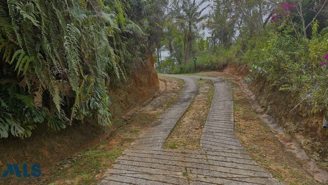Land in Don Diego, Antioquia, Colombia 3 - 16208563