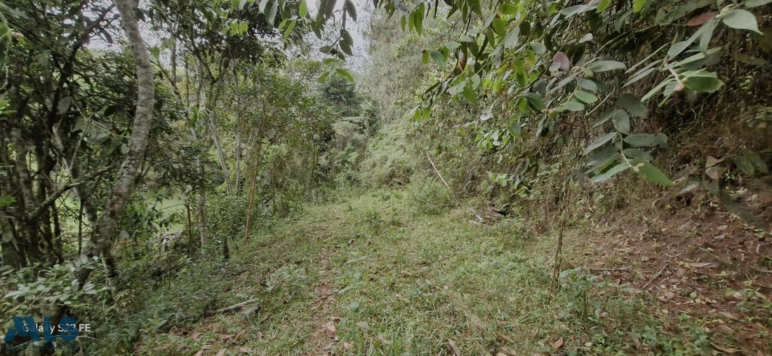 Land in Rionegro, Antioquia, Colombia 5 - 16208736