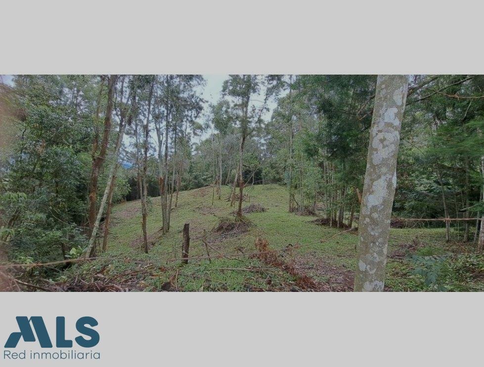 Land in La Ceja, La Ceja, Colombia 5 - 16208425
