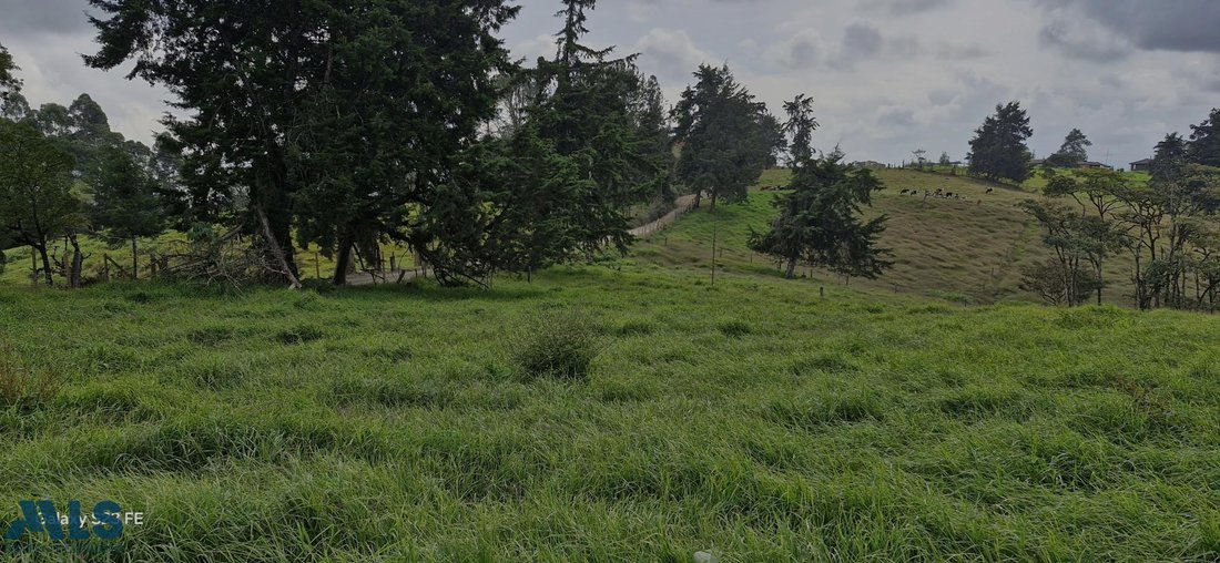 Land in Rionegro, Antioquia, Colombia 3 - 16208719