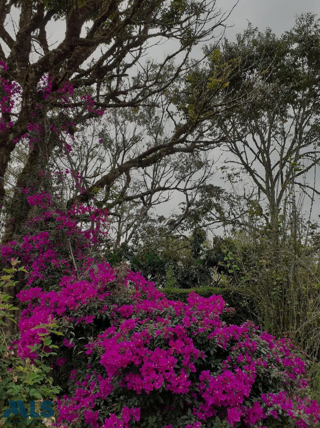 House in Candilejas, Antioquia, Colombia 2 - 16208482
