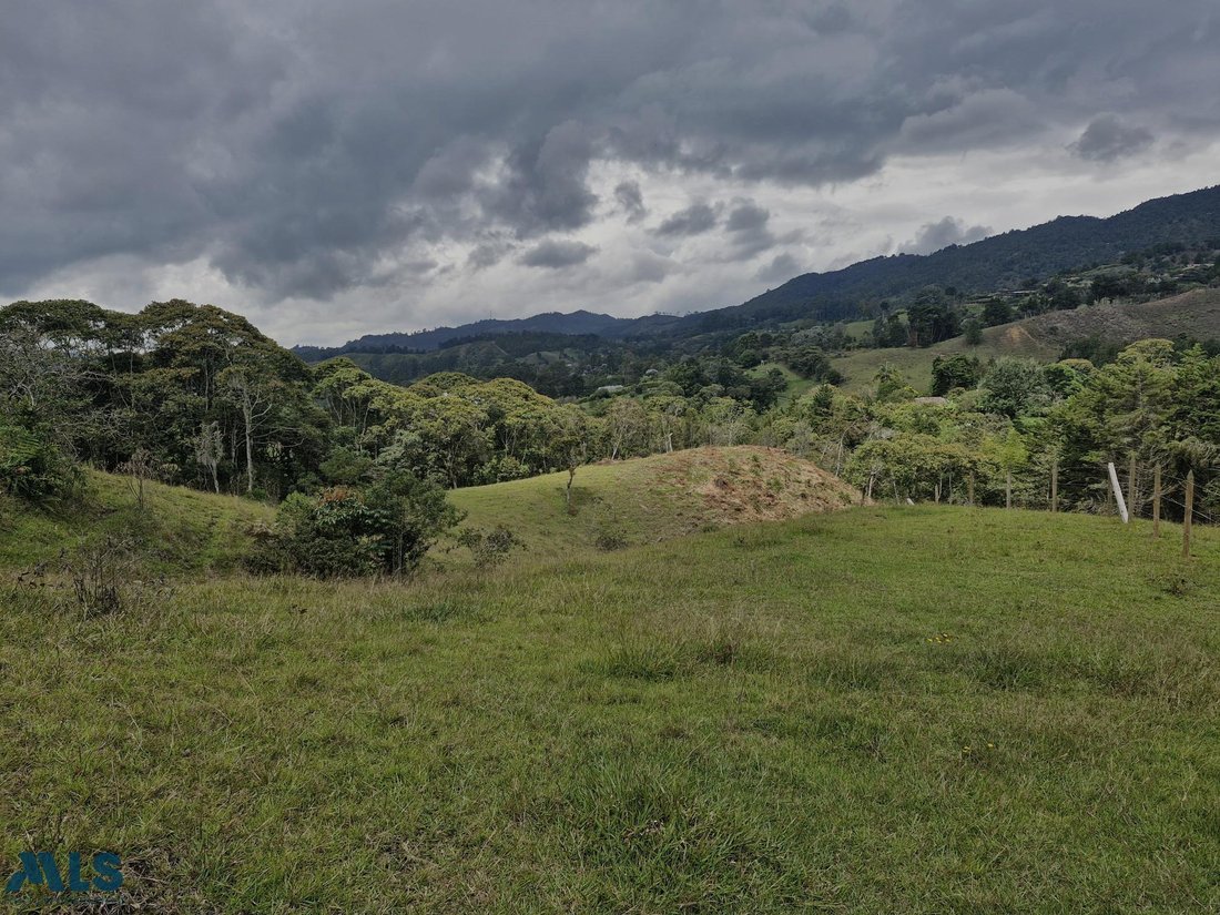 Terrain à Pozo Rubio, Antioquia, Colombie 3 - 16208579