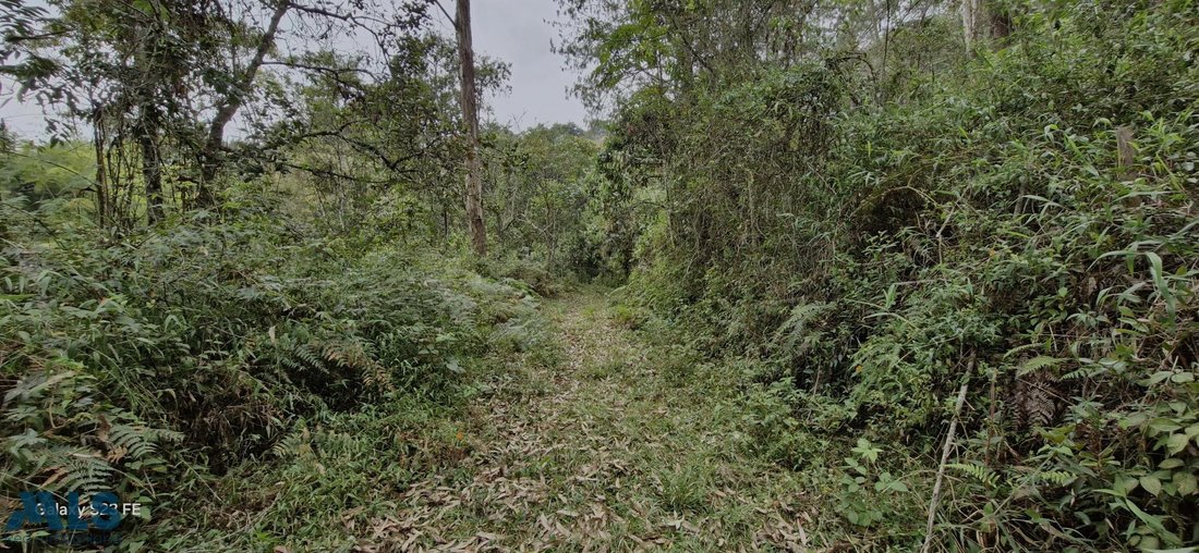 Land in Rionegro, Antioquia, Colombia 3 - 16208736