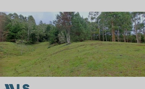 Land in La Ceja, La Ceja, Colombia 1