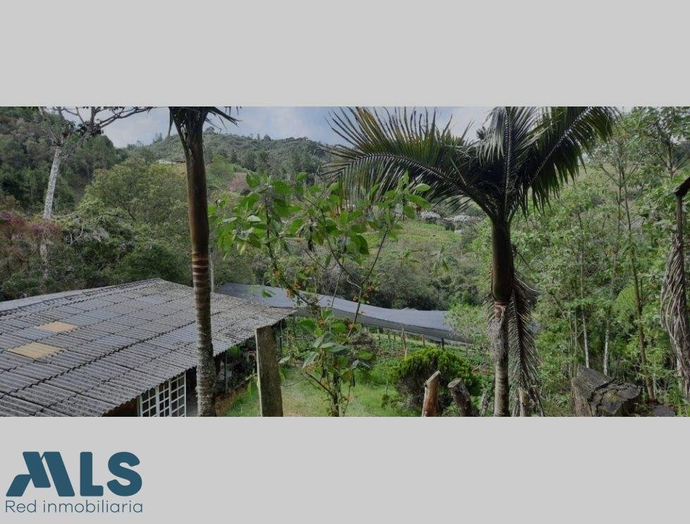 Land in El Bosque, Antioquia, Colombia 4 - 16208767