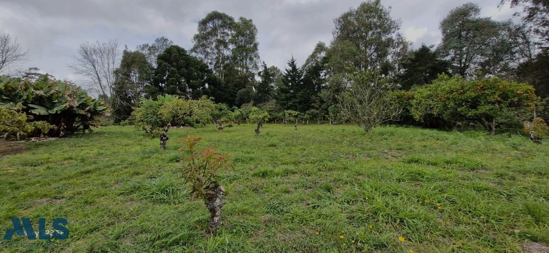 Land in Rionegro, Rionegro, Colombia 1 - 16208374