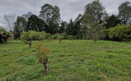 Terreno in Rionegro, Rionegro, Colombia 1