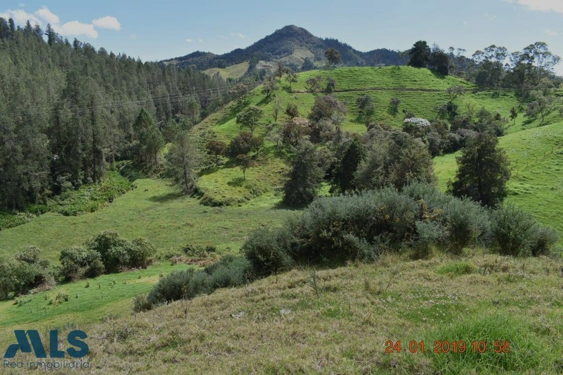 Land in El Retiro, Retiro, Colombia 3 - 16208609