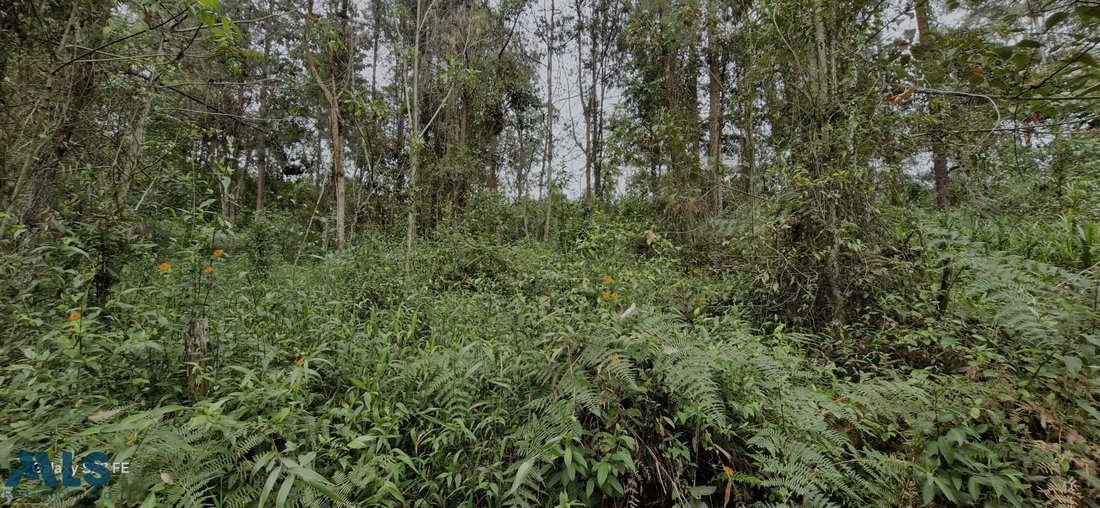 Land in Rionegro, Antioquia, Colombia 2 - 16208736