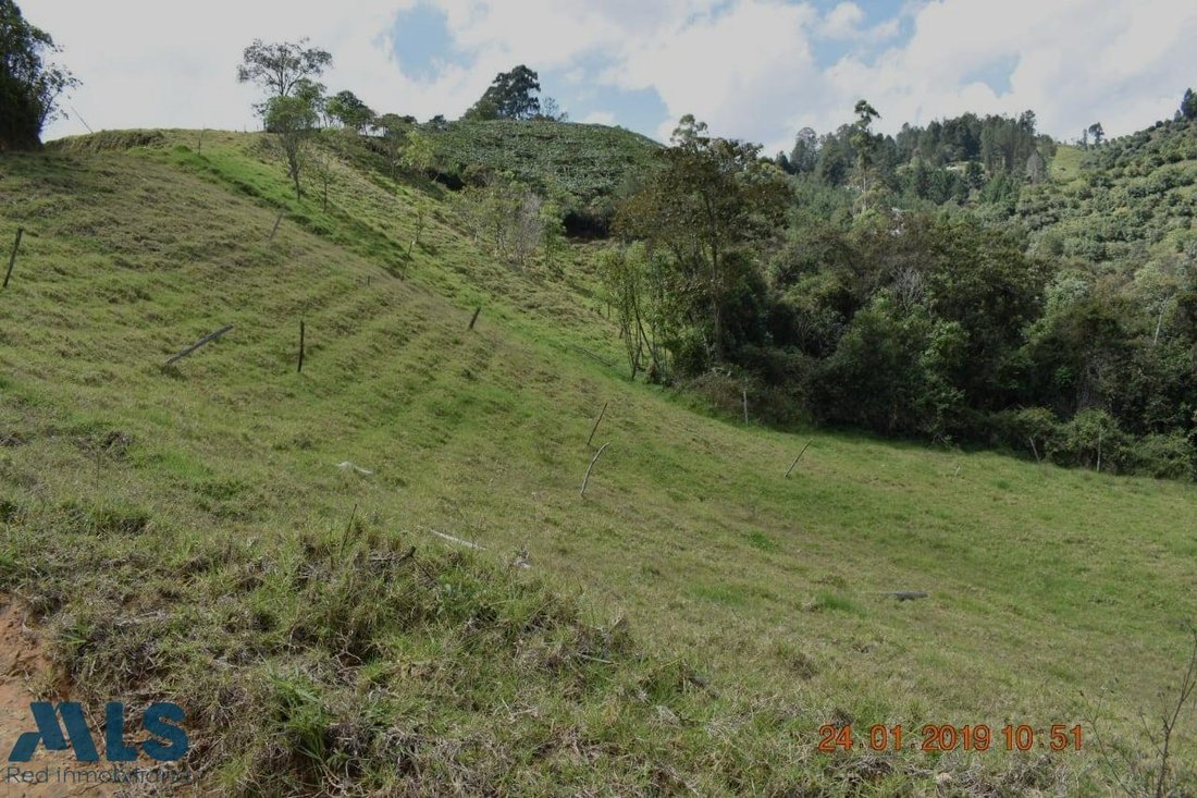 Land in El Retiro, Retiro, Colombia 1 - 16208609