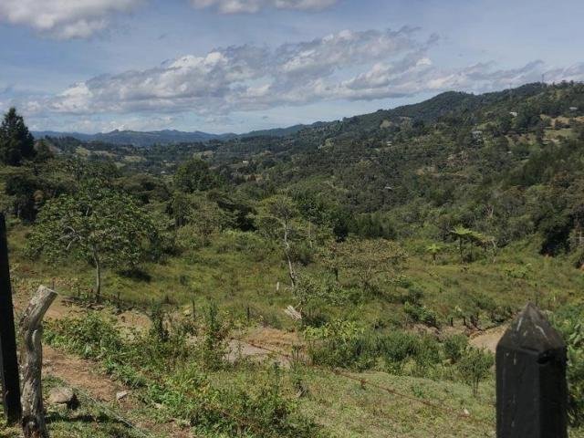 Land in Rionegro, Rionegro, Colombia 3 - 16208664