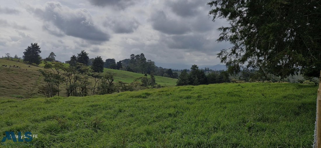 Land in Rionegro, Antioquia, Colombia 4 - 16208719