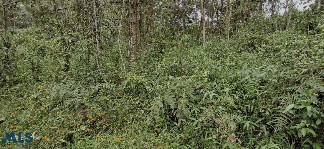 Land in Rionegro, Antioquia, Colombia 1 - 16208736