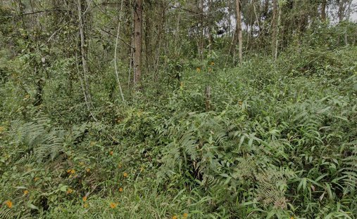 Land in Rionegro, Antioquia, Colombia 1