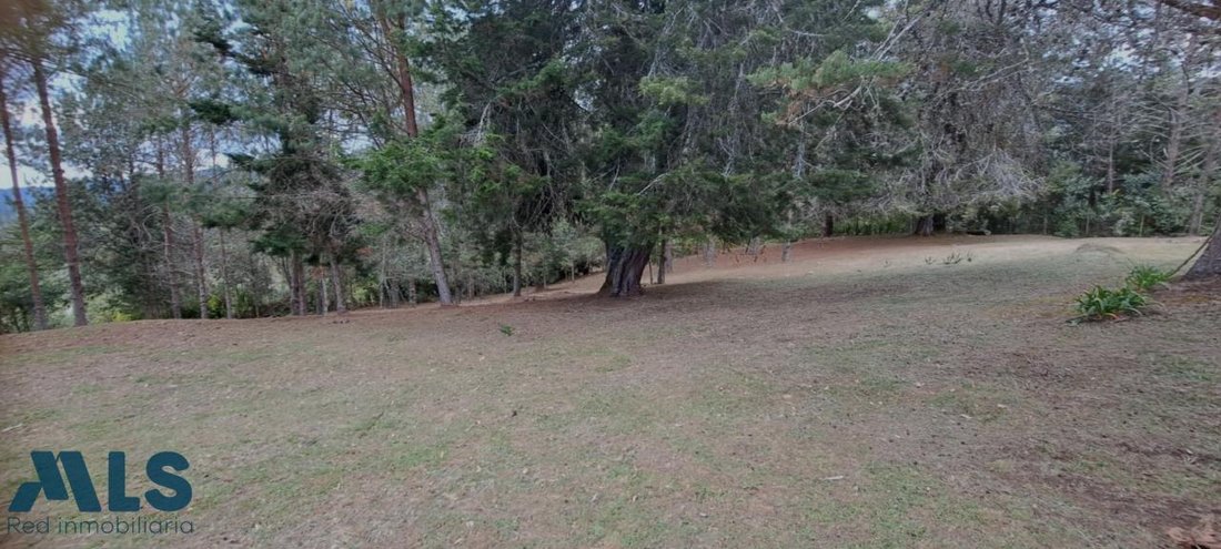 Land in Los Salados, Antioquia, Colombia 1 - 16208832