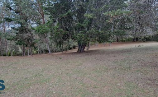 Land in Los Salados, Departamento de Antioquia, Kolumbien 1